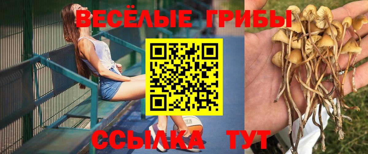 Долгопрудный  Псилоцибиновые грибы Magic Shrooms  Вход с VPN  Галлюциногенные грибы Magic Shrooms 